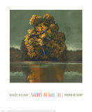 Shades of Fall III