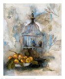 Song Bird II
