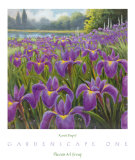 Gardenscape I