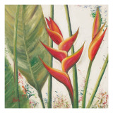 Helliconias with Leaves II