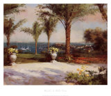 Palm Vista