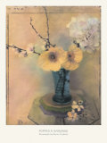 Poppies and Hydrangea