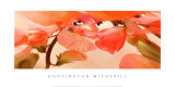 Sweet Peas I