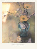 Poppies and Spring Blossoms