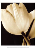 Radiance I