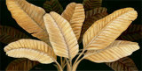 Calypso Leaves I