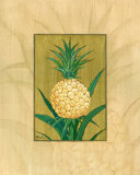 Sugar Loaf Pineapple