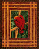 Crimson Parrot