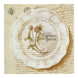 Assiette  Tripolium Pratence