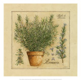 Herbes de Provence  Romarin