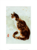 Dehong's Cat
