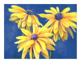 Rudbeckias