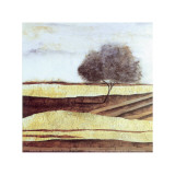 After the Goldbrush II