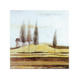 After the Goldbrush IV