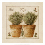 Herbes de Provence  Thym