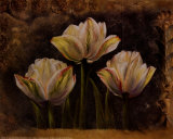 Triple Tulip II