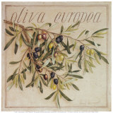 Oliva Europea