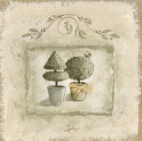 Jardin IV