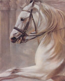 White Spirit