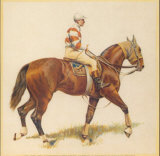 Cavalier I