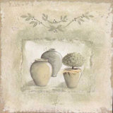 Jardin III