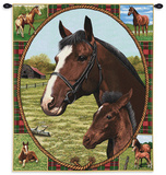Thoroughbred