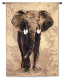 African Voyage I