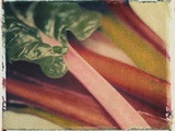 Chard