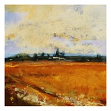 Summer Field