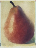 Seckle Pear