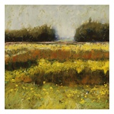 View from Dale Farm