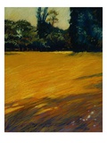Lincoln Park