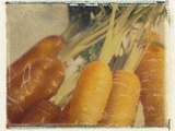 Carrots