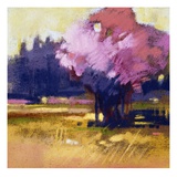 Blossom