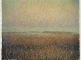 Eastham Marsh