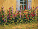 Blue Shutters