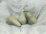 Pear Study 1731