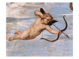 Detail of Cupid from Galatea