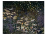 Detail of Waterlilies from The Morning