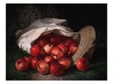 Autumn's Bounty