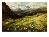 Flowers of the Alps