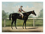 The Great Racer Kingston