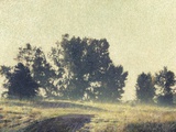 Foggy Morning