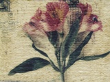 Stamp and Flower