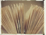 Book Pages 2
