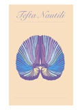 Tefta Nautili