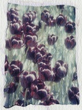Purple Tulips