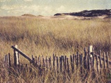 Cape Cod Sandunes