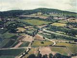 Vineyards