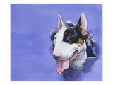 Darby from Darby  the Special-Order Pup